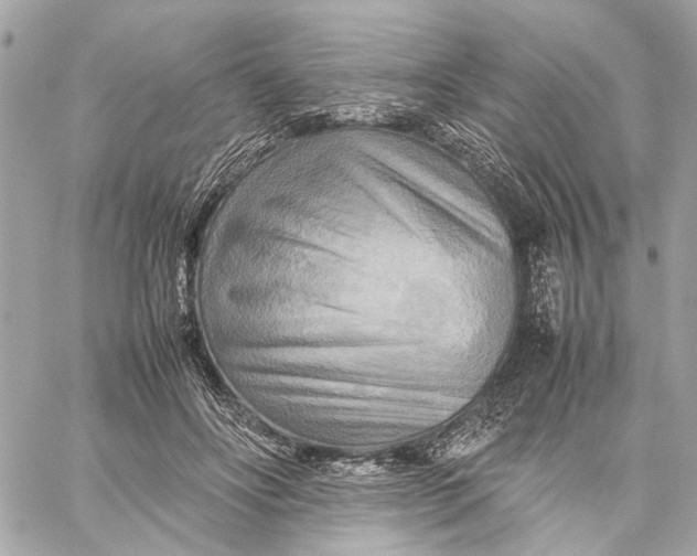 X0000059230502200511041245