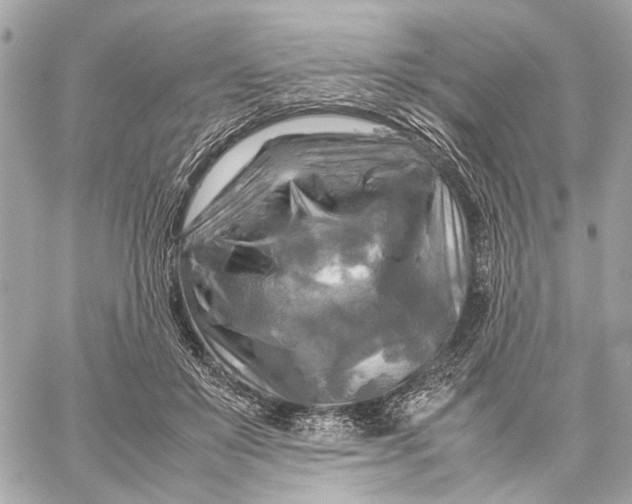 X0000059230503200511041245