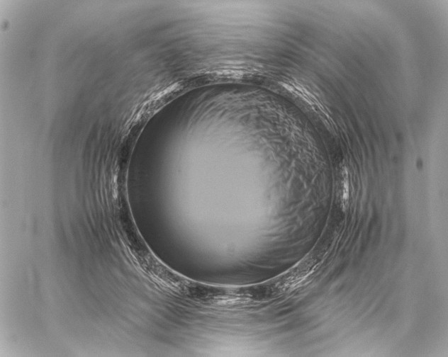 X0000059230504200511041245