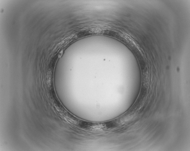 X0000059230505200511041245