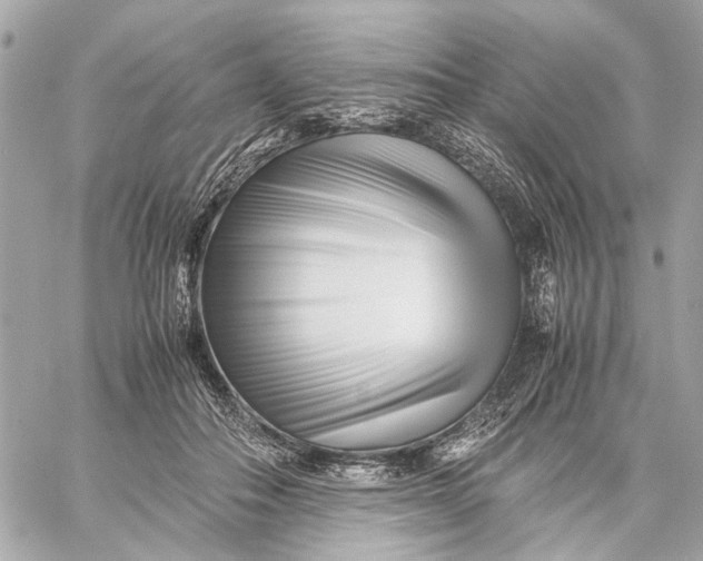 X0000059230506200511041245