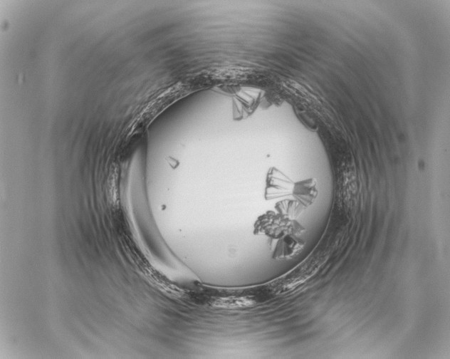 X0000059230508200511041245