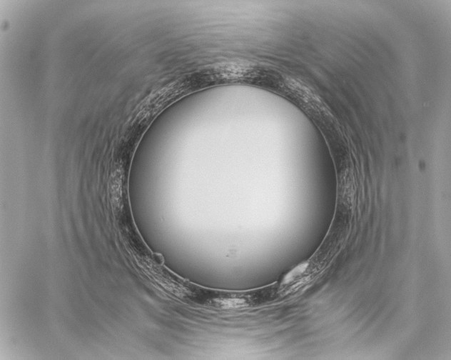 X0000059230509200511041245