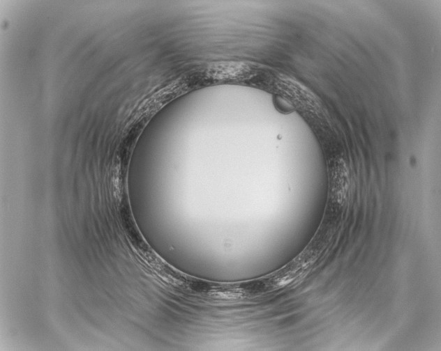 X0000059230510200511041245