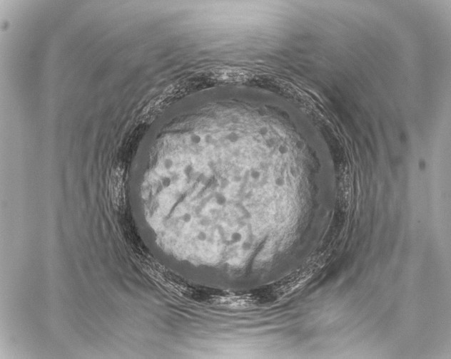 X0000059230511200511041245