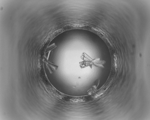 X0000059230512200511041245