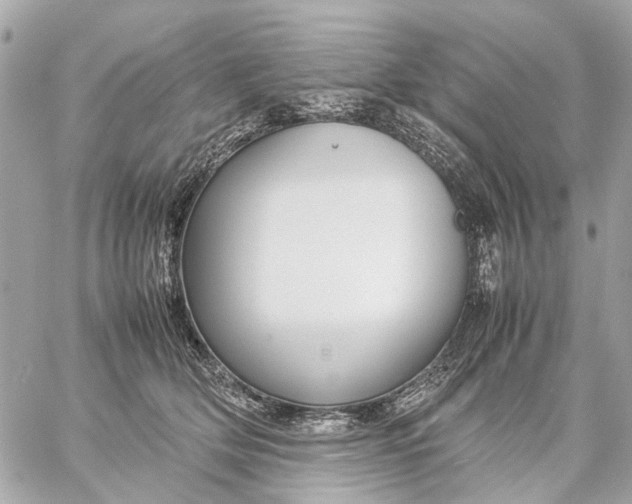 X0000059230514200511041245