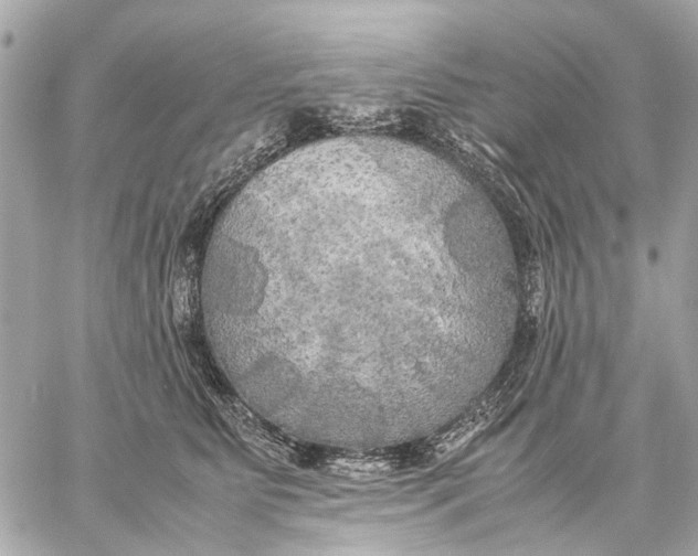 X0000059230515200511041245