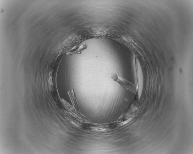 X0000059230516200511041245