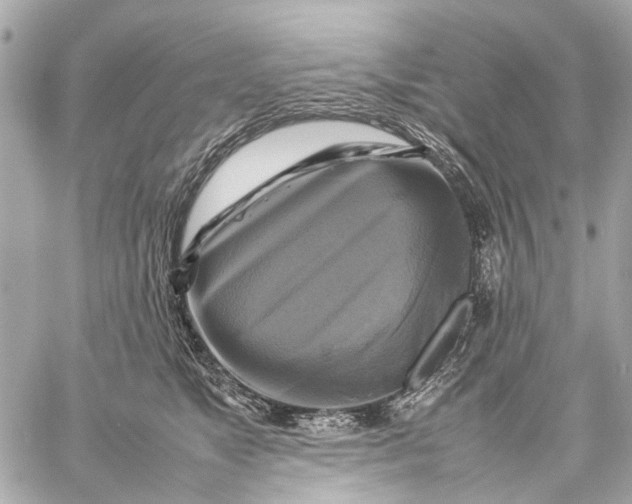 X0000059230517200511041245