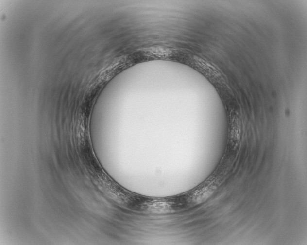 X0000059230518200511041245