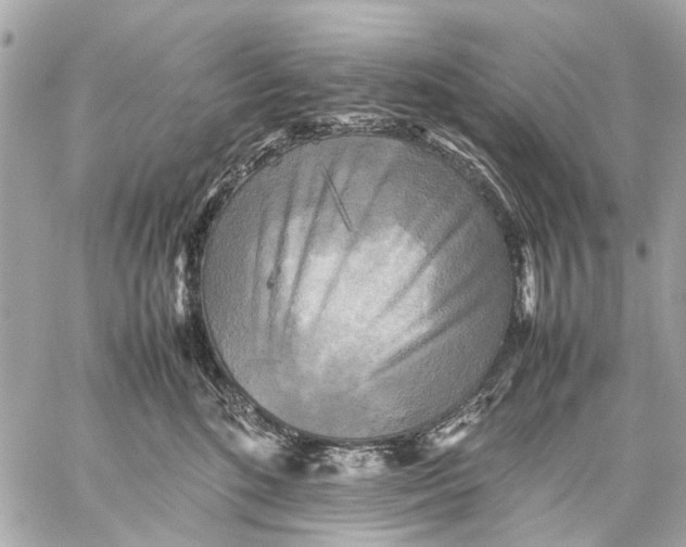 X0000059230520200511041245