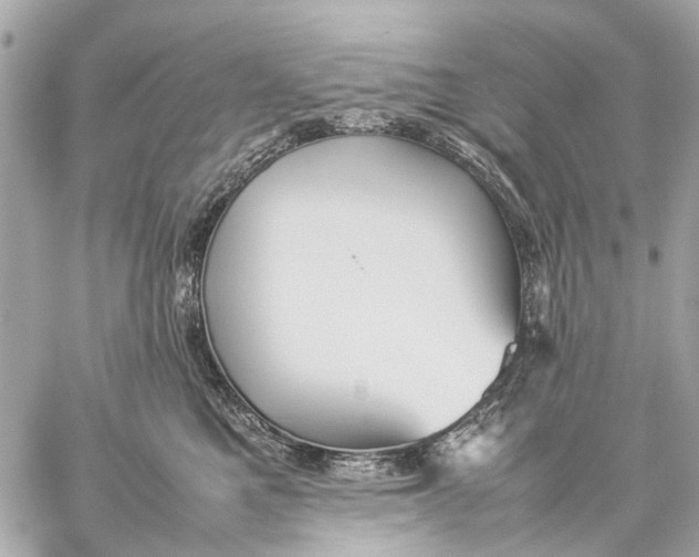 X0000059230521200511041245