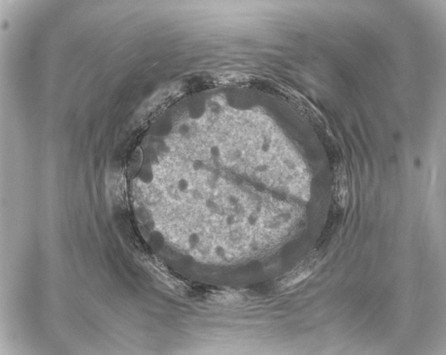 X0000059230523200511041245