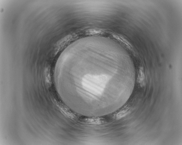 X0000059230524200511041245