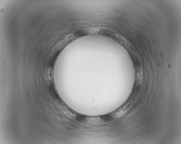 X0000059230525200511041245