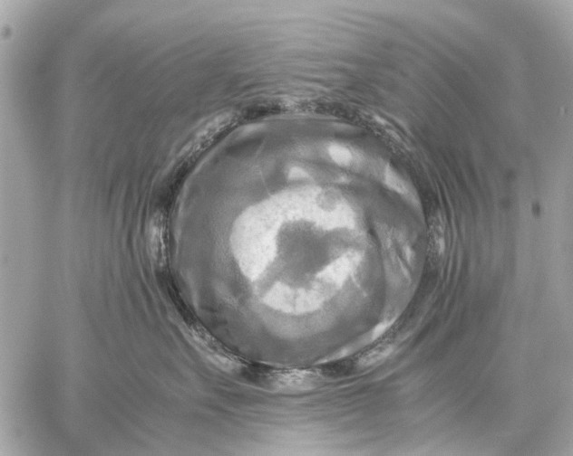 X0000059230527200511041245