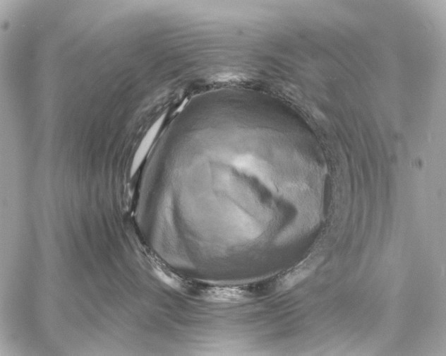 X0000059230528200511041245