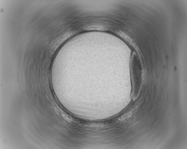 X0000059230529200511041244