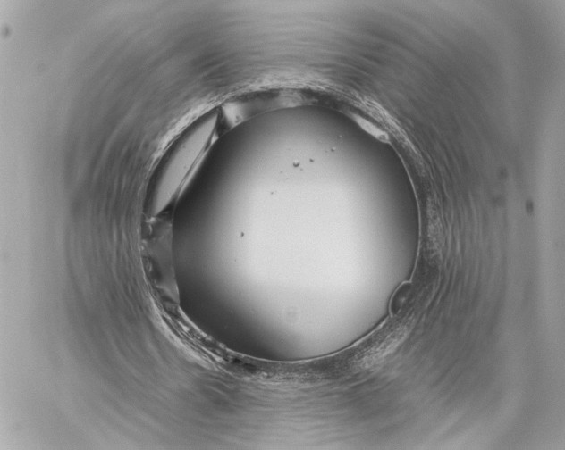 X0000059230530200511041244