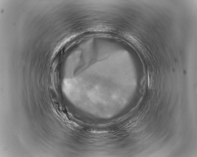 X0000059230531200511041244