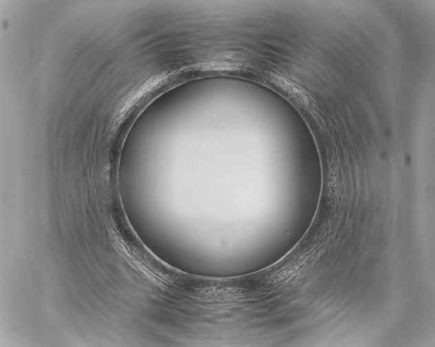 X0000059230535200511041244