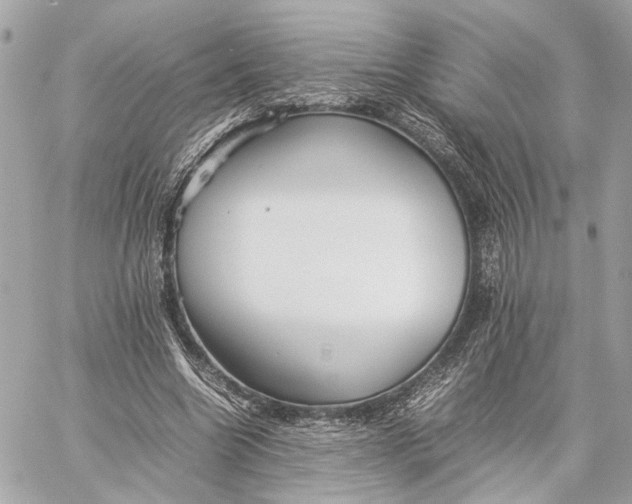 X0000059230538200511041244