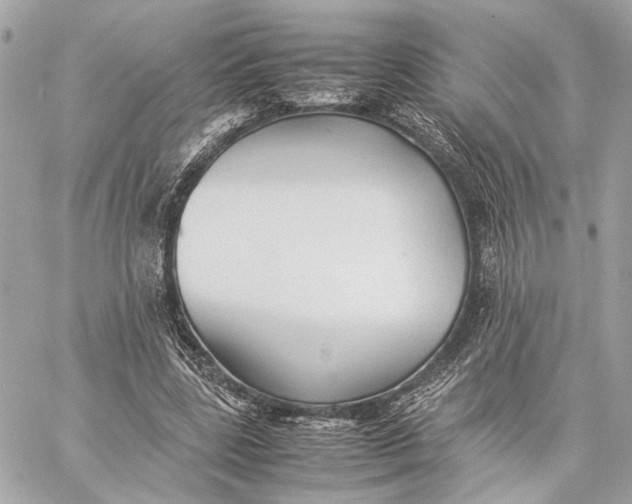 X0000059230539200511041244