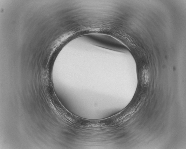 X0000059230540200511041244