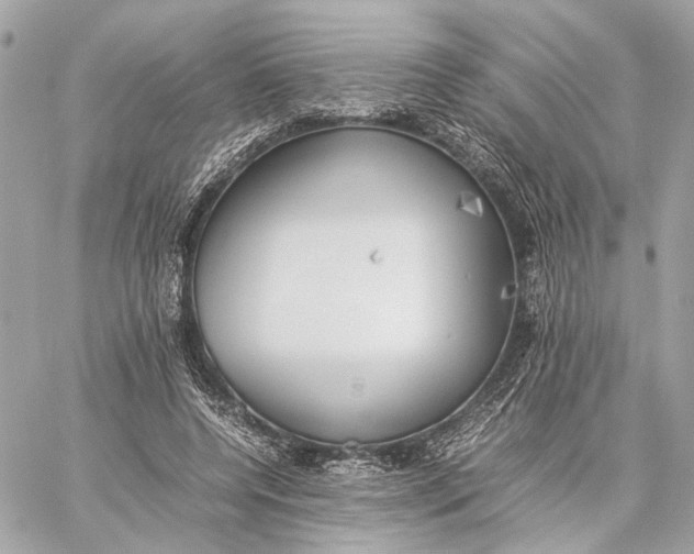 X0000059230544200511041244