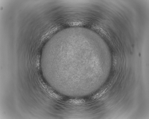 X0000059230545200511041244