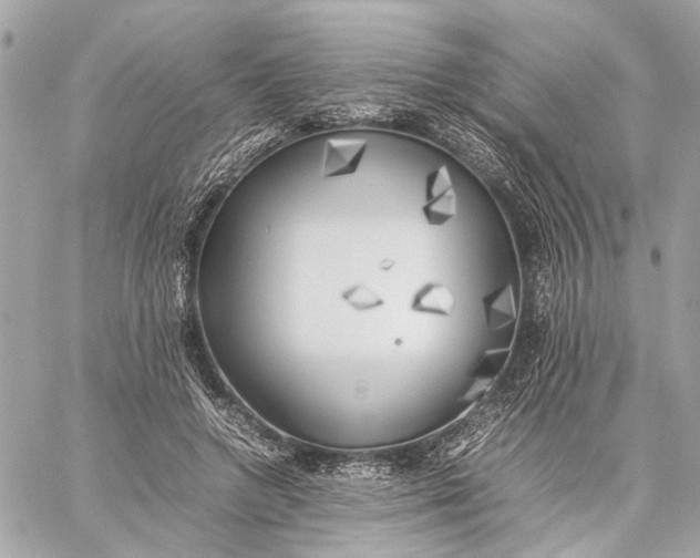 X0000059230546200511041244