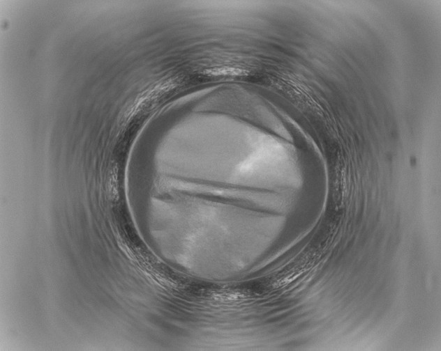 X0000059230547200511041244