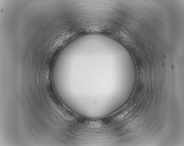 X0000059230548200511041244