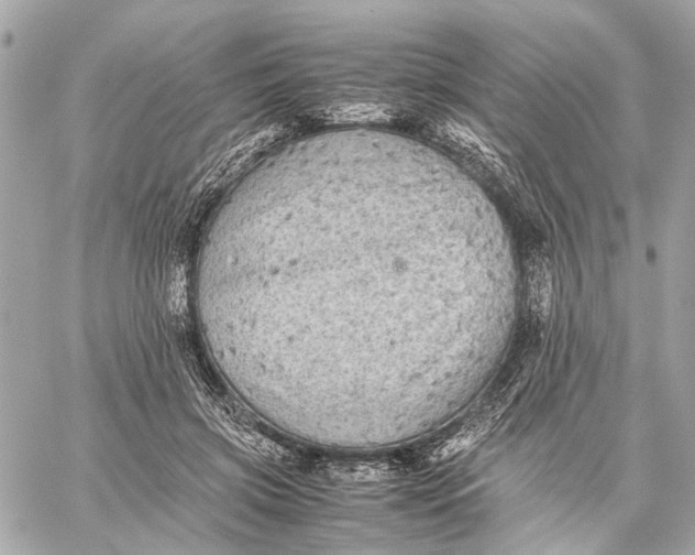 X0000059230549200511041244