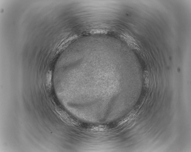 X0000059230550200511041244