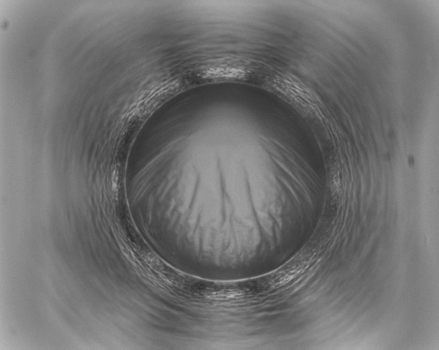 X0000059230551200511041244