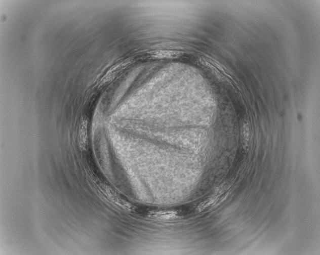 X0000059230554200511041244