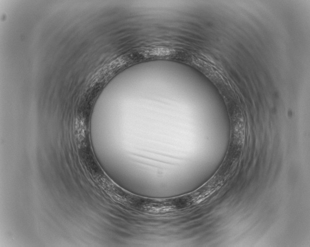 X0000059230555200511041244