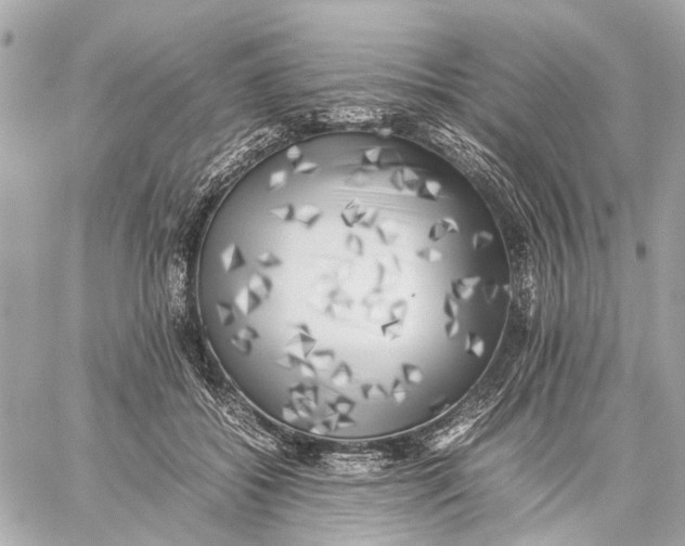 X0000059230556200511041244