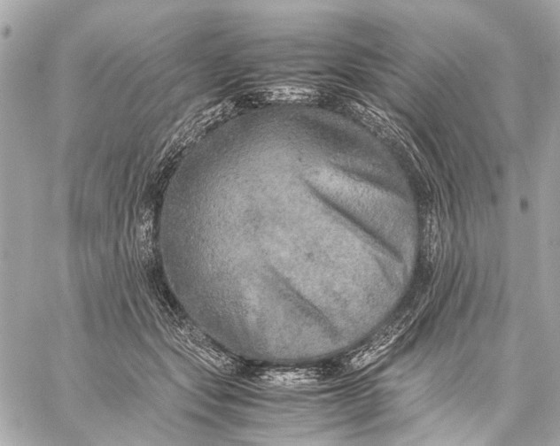 X0000059230557200511041244