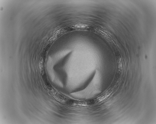 X0000059230559200511041244