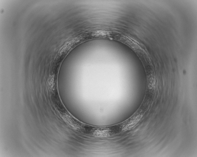 X0000059230560200511041244