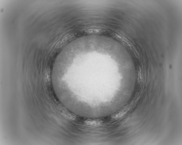 X0000059230561200511041244