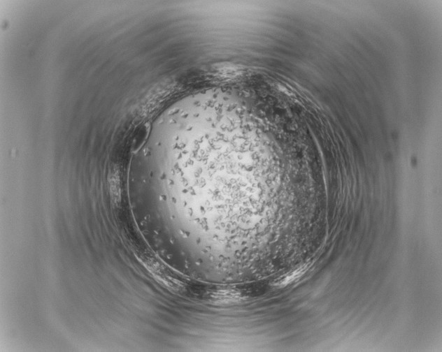 X0000059230562200511041245