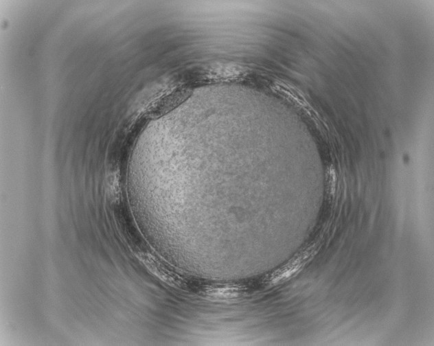 X0000059230564200511041245