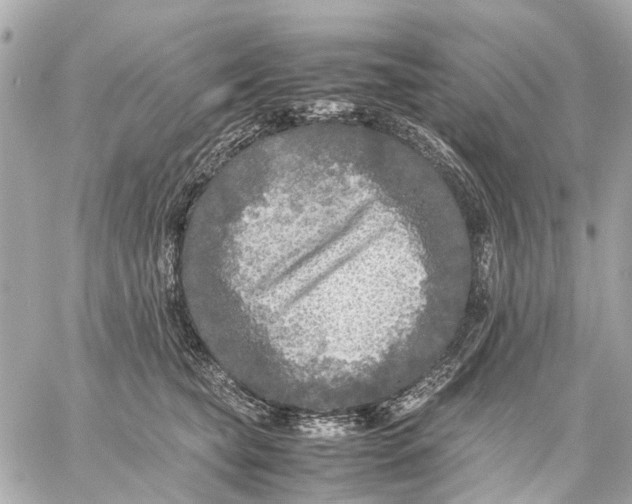 X0000059230565200511041245