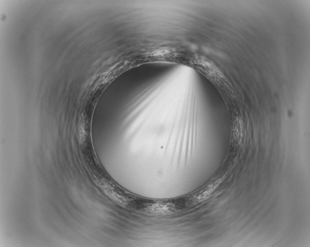 X0000059230566200511041245