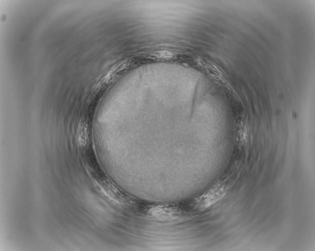 X0000059230568200511041245