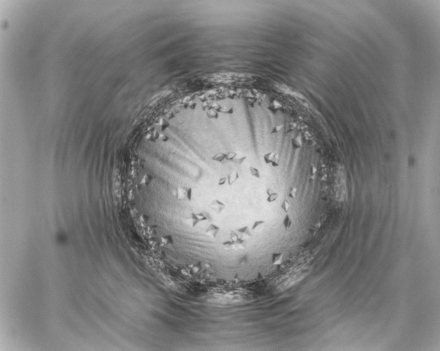 X0000059230569200511041245